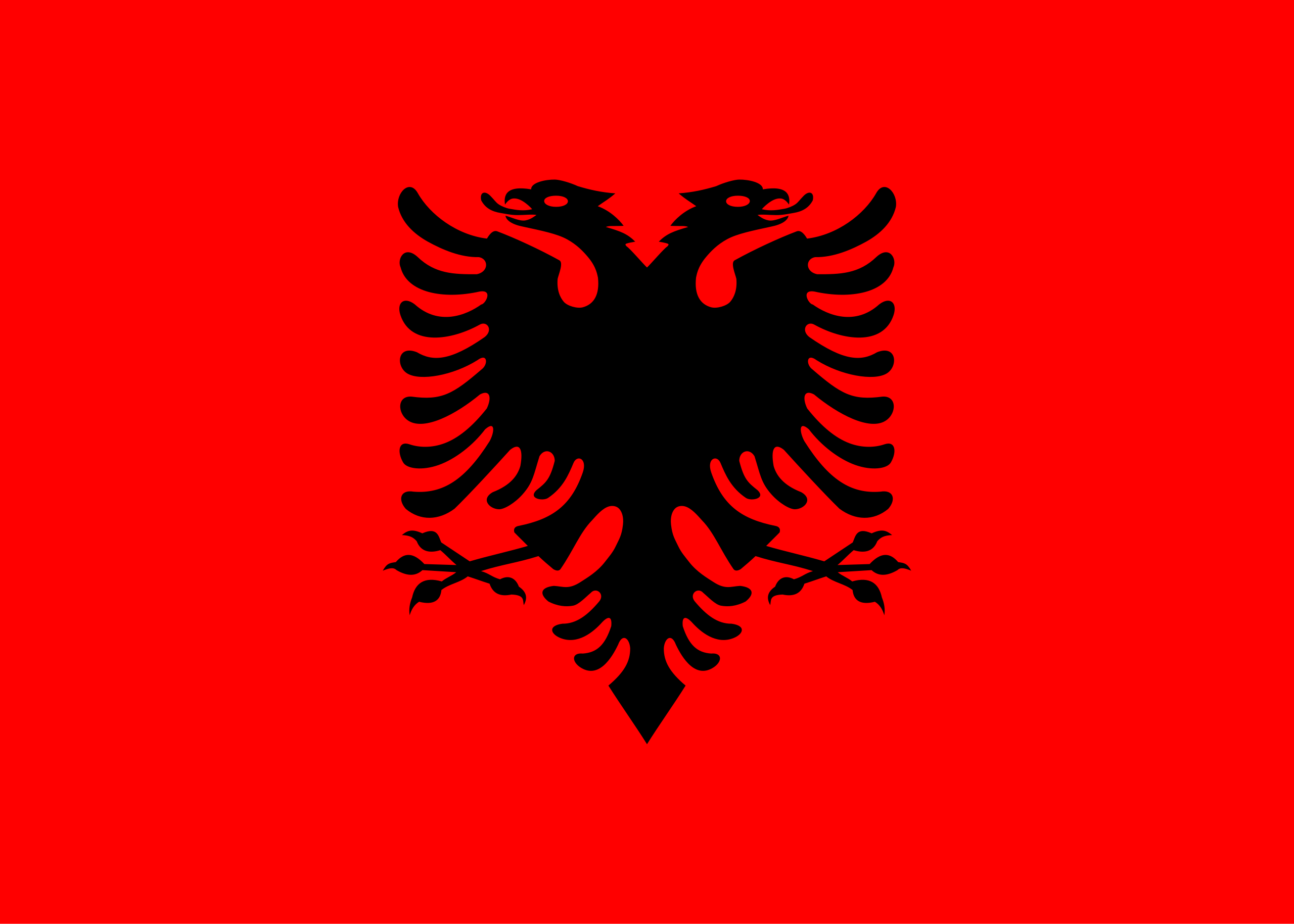 Courses for Albanian Language